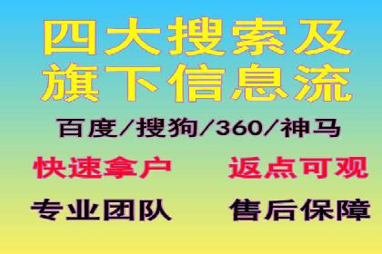 顶级SEM服务公司案例解析